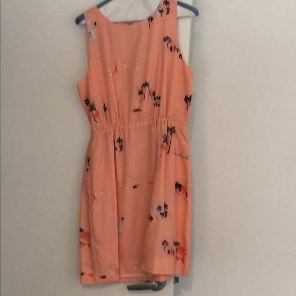 Jcrew Factory dress